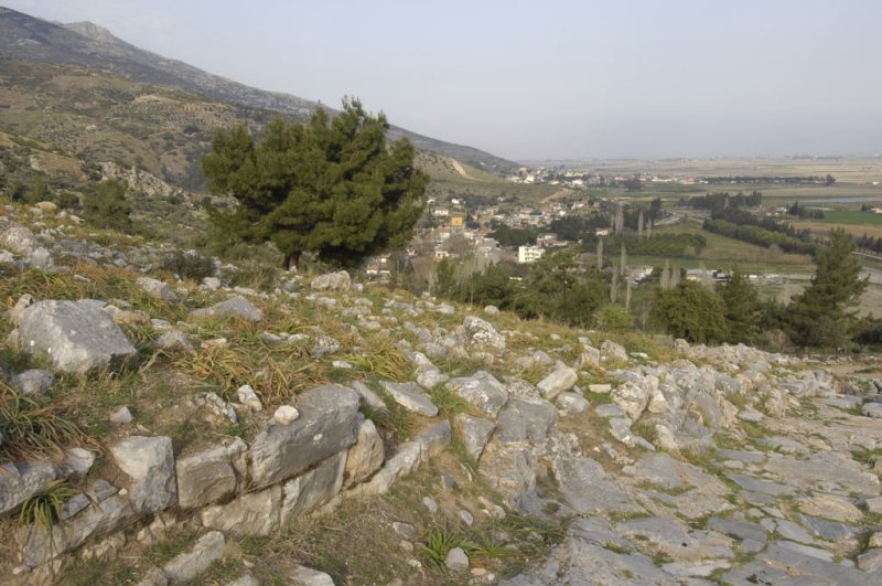 Priene 2007 4356.jpg