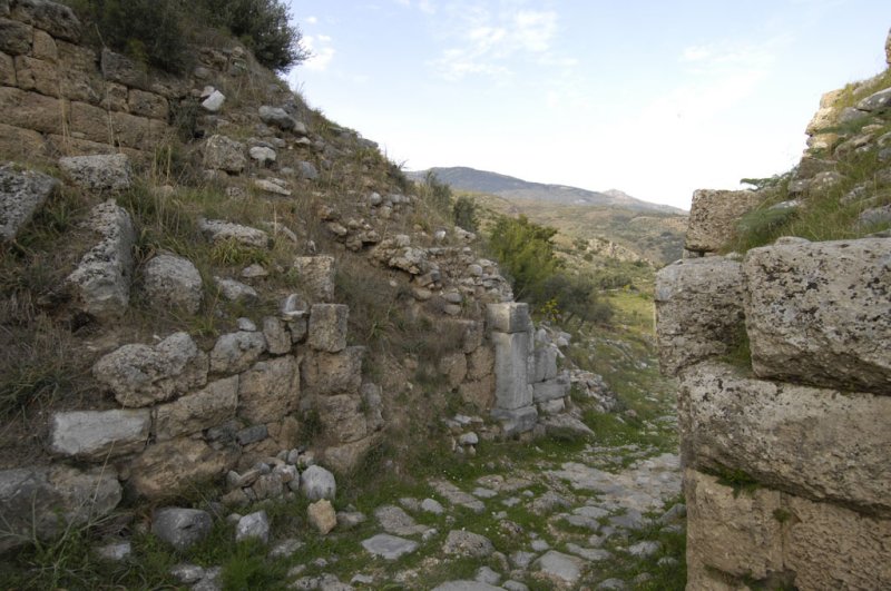 Priene 2007 4357.jpg