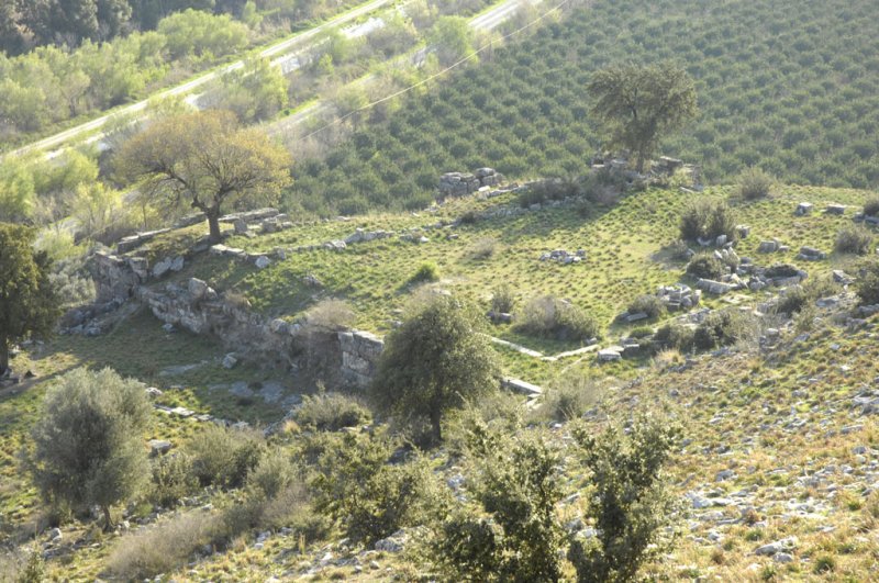 Priene 2007 4805.jpg