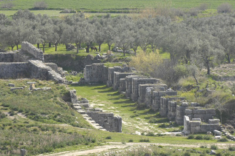 Miletus 2007 4550.jpg