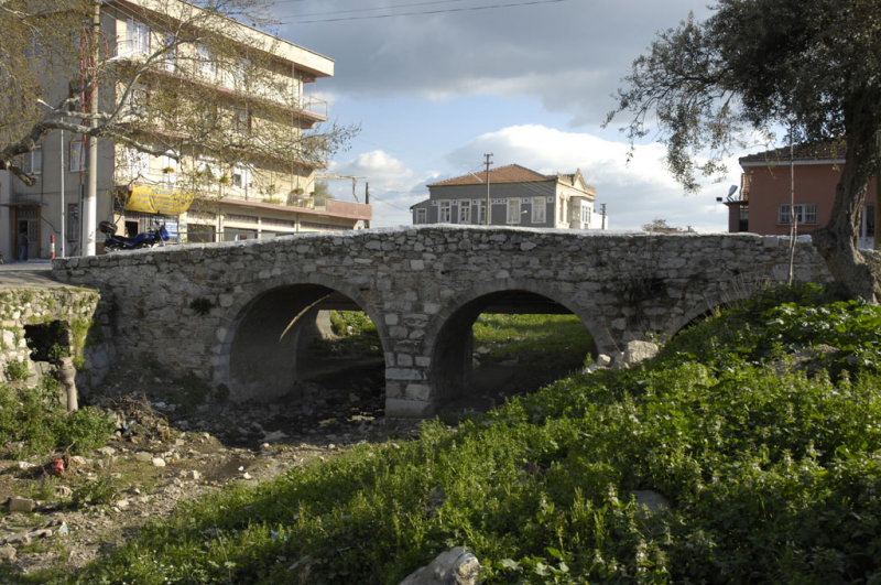 Milas 4946.jpg