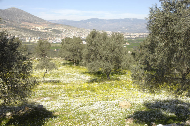 Becin 5239.jpg