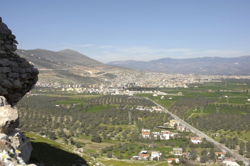 Becin 5249.jpg