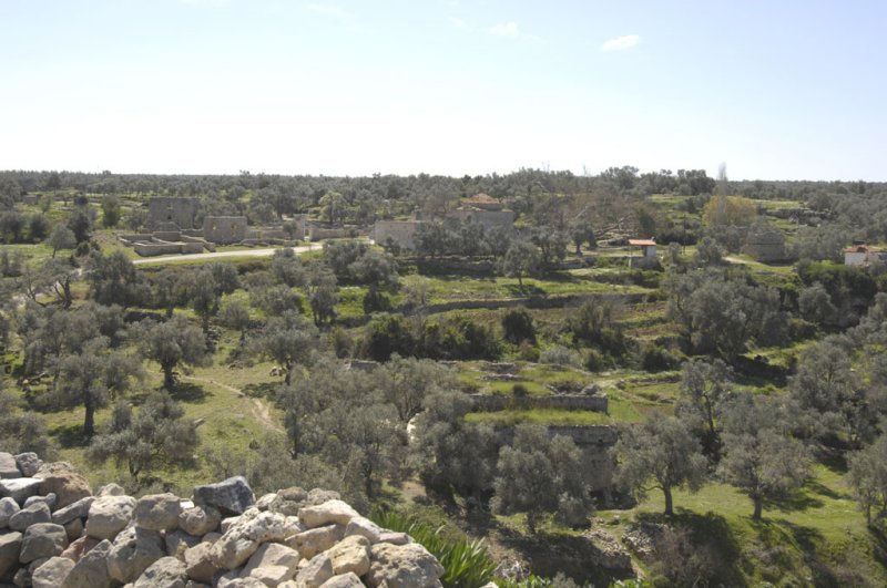 Becin 5262.jpg