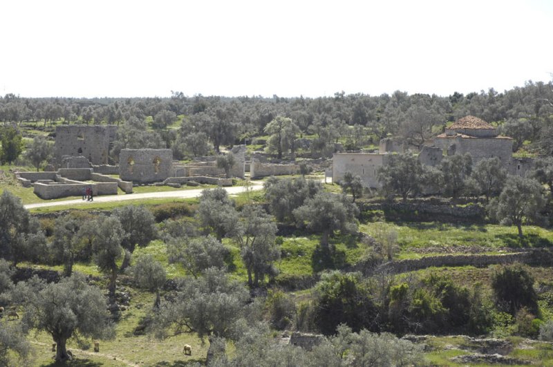 Becin 5266.jpg