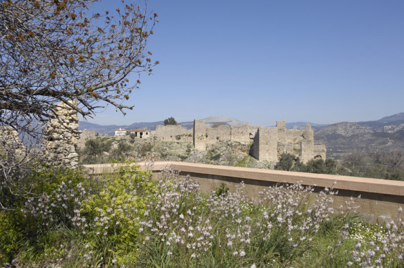 Becin 5289.jpg