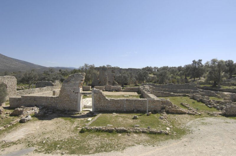 Becin 5290.jpg