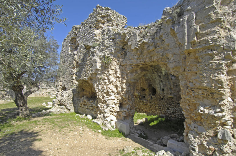 Becin 5309.jpg