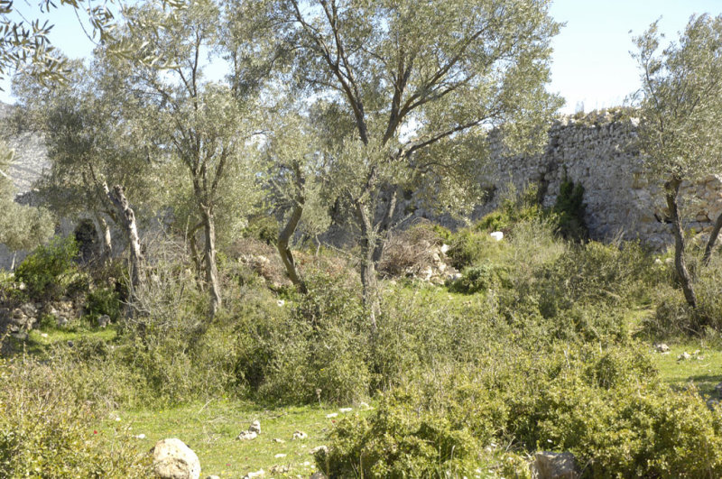 Becin 5326.jpg