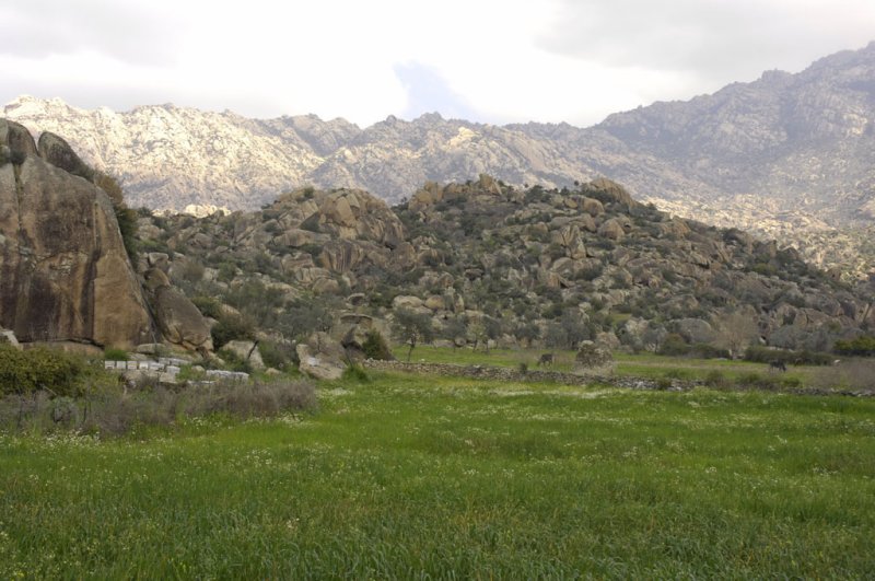 Herakleia 5049.jpg