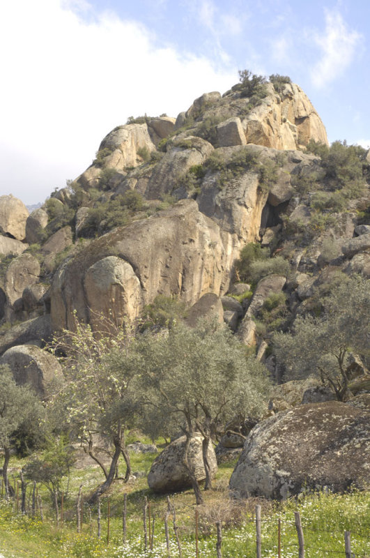 Herakleia 5052.jpg