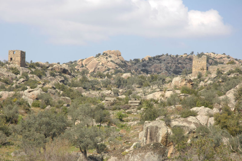 Herakleia 5064.jpg