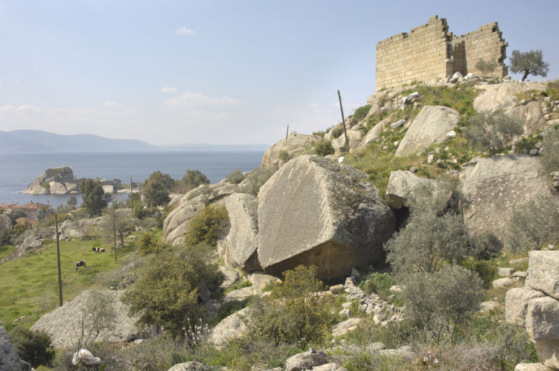 Herakleia 5071.jpg