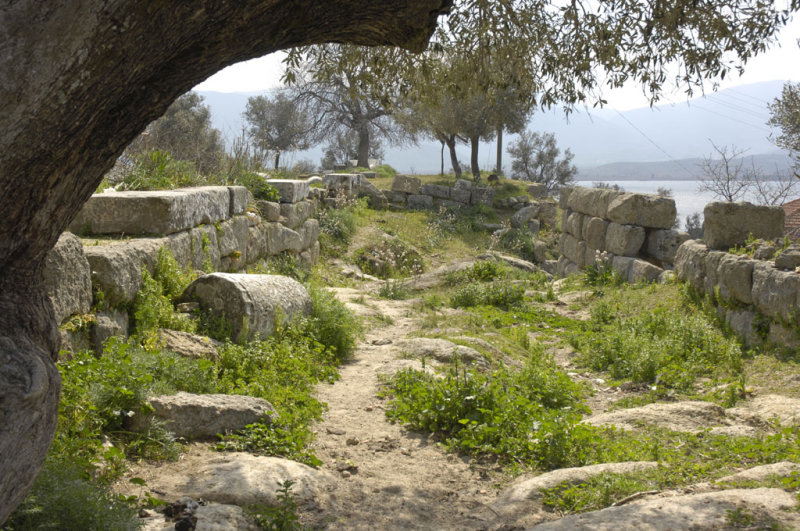 Herakleia 5072.jpg