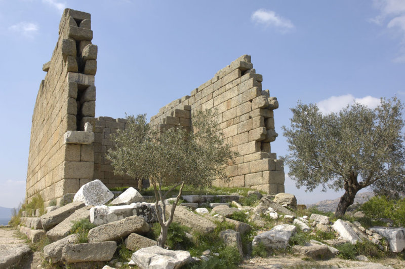 Herakleia 5074.jpg