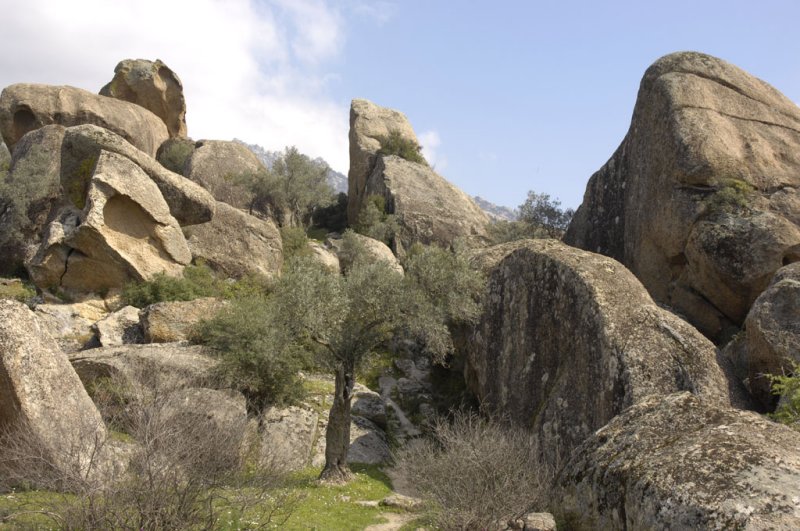 Herakleia 5088.jpg