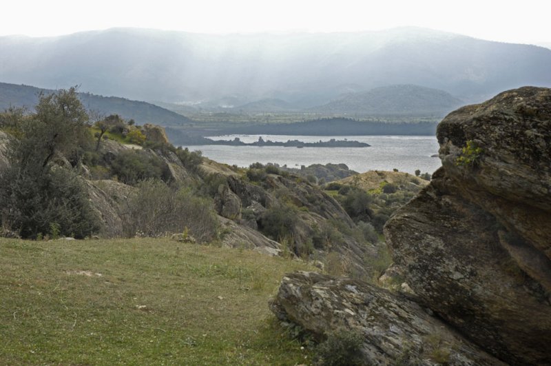 Herakleia 5089.jpg