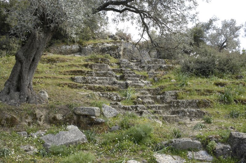 Herakleia 5101.jpg