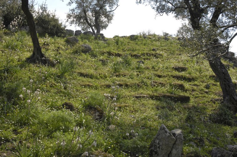 Herakleia 5102.jpg