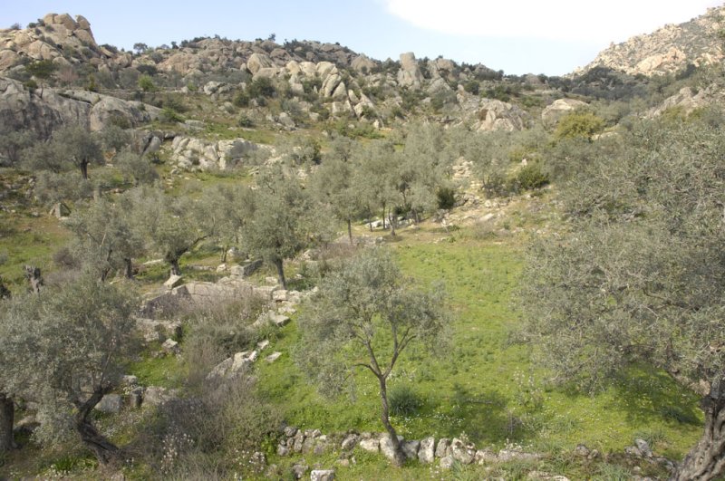 Herakleia 5104.jpg