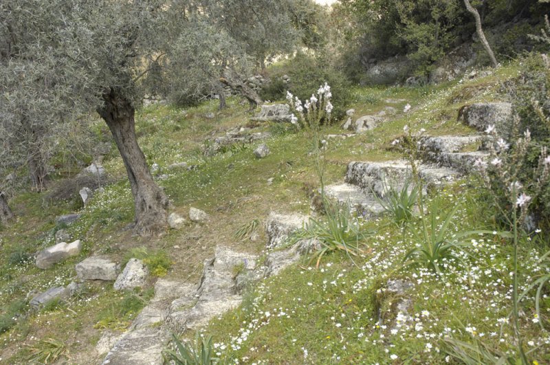 Herakleia 5105.jpg