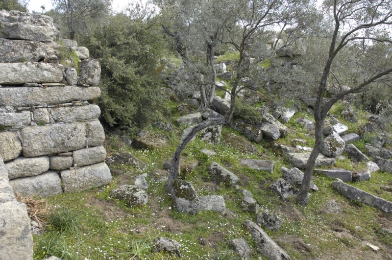 Herakleia 5108.jpg