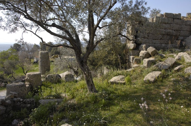 Herakleia 5128.jpg