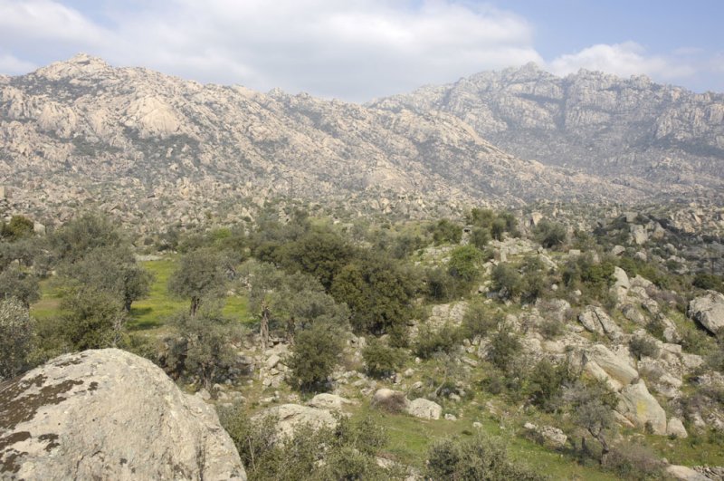Herakleia 5133.jpg