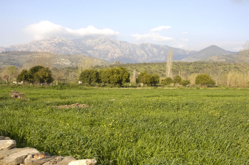 Herakleia 5158.jpg
