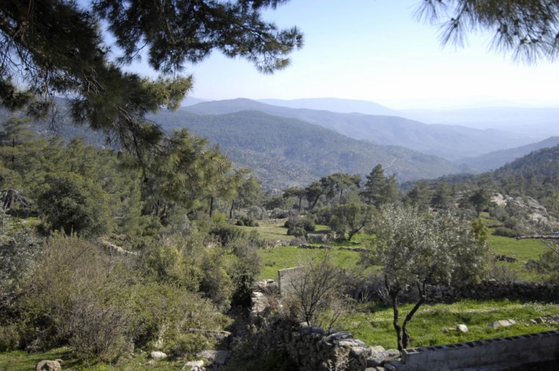 Labraunda at southwest edge 5653.jpg