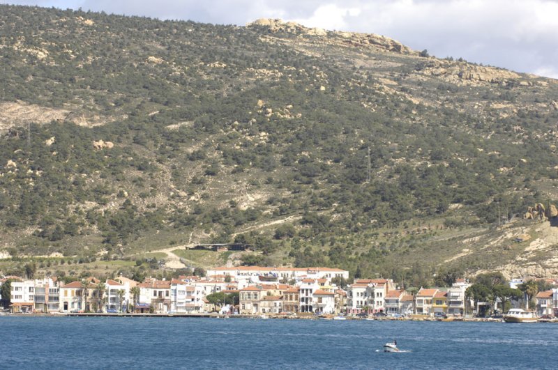 Foca 6426.jpg
