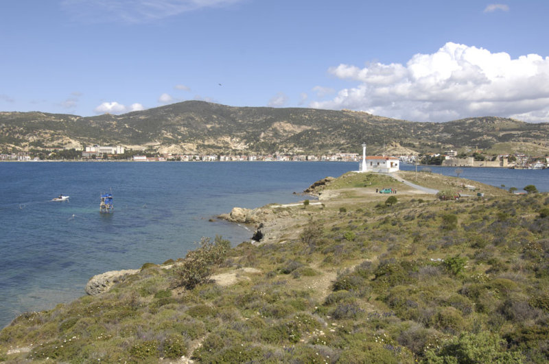 Foca 6445.jpg