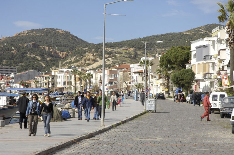 Foca 6482.jpg