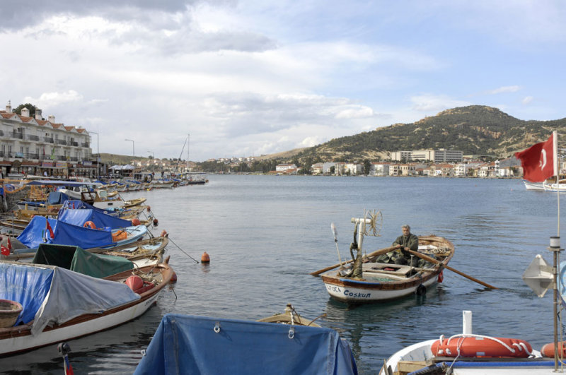 Foca 6492.jpg