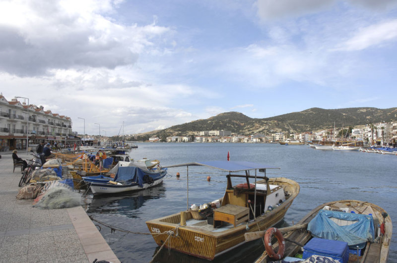 Foca 6494.jpg