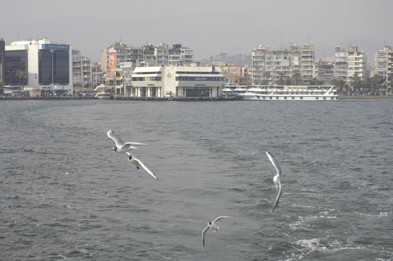 Izmir 2007 4052.jpg
