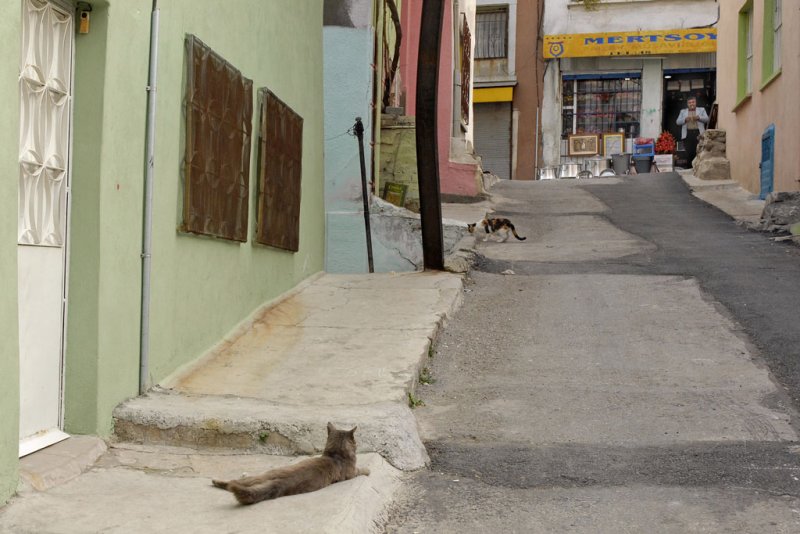 Izmir 2007 6302b.jpg