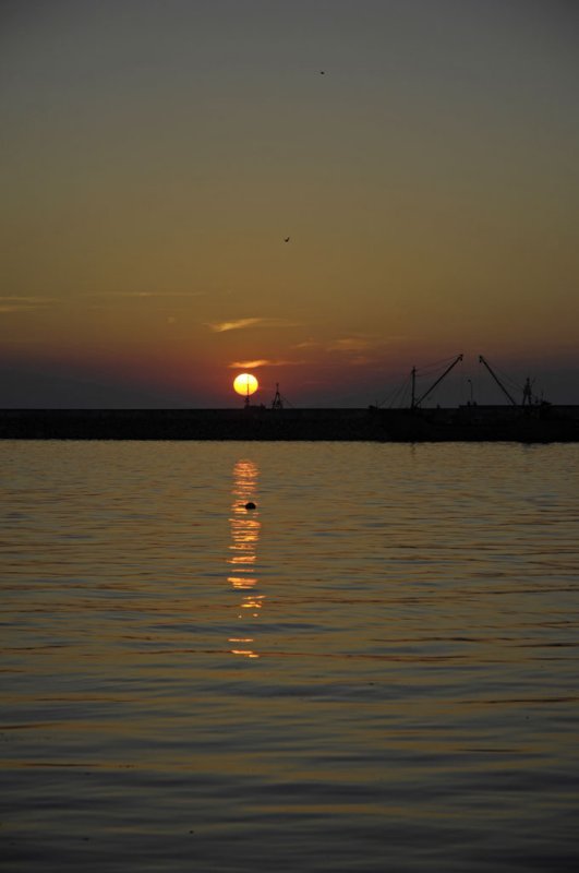 Sile062007 7152.jpg