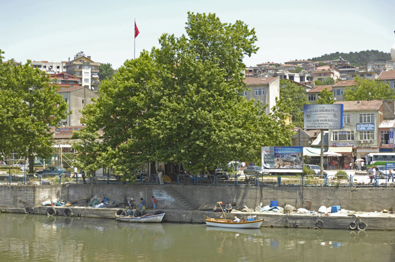 Alapli 062007 7789.jpg
