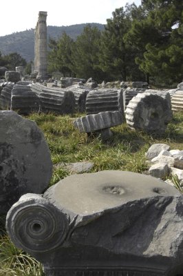 Priene 2007 4245.jpg