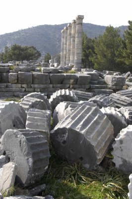 Priene 2007 4246.jpg