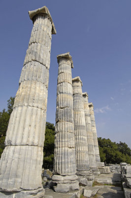 Priene 2007 4257.jpg