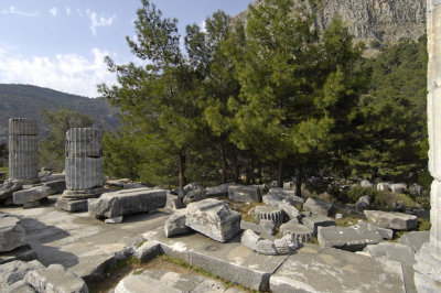 Priene 2007 4258.jpg