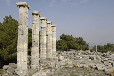 Priene 2007 4281.jpg