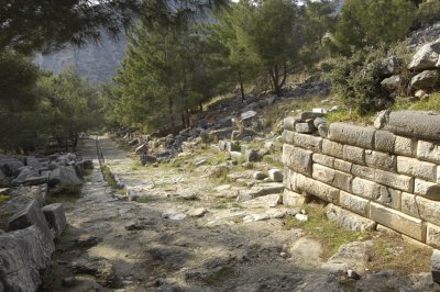 Priene 2007 4315.jpg