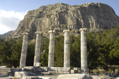 Priene 2007 4798.jpg