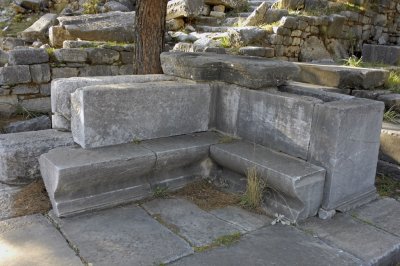 Priene 2007 4816.jpg