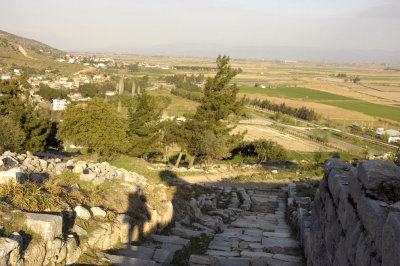 Priene 2007 4826.jpg