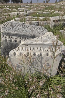 Miletus 2007 4505.jpg