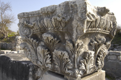 Miletus 2007 4586.jpg